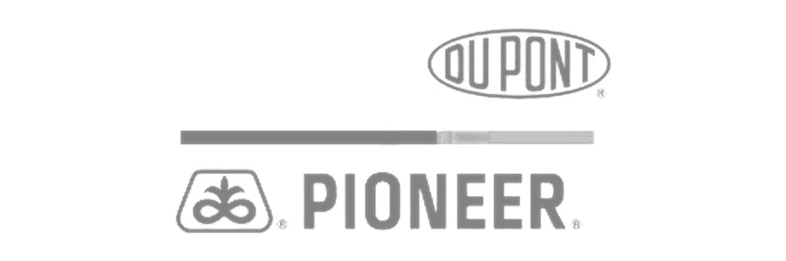 Logo_pioneer